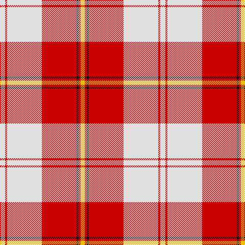 LN/10 R4 LN68 R68 K4 R4 Y/8 tartan Tartan detail