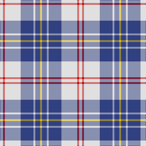 LN/10 R6 LN52 B42 LN6 B16 Y/6 tartan Tartan detail