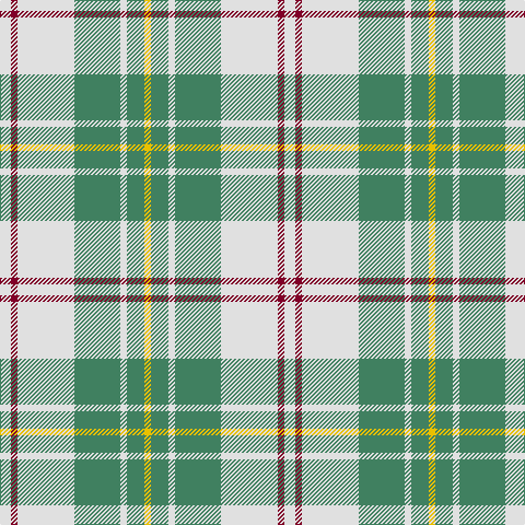 LN/10 DR6 LN52 G42 LN6 G16 Y/6 tartan Tartan detail