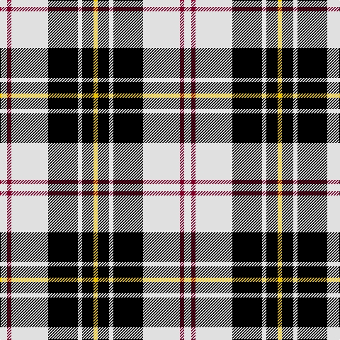 LN/10 DR6 LN52 K42 LN6 K16 Y/6 tartan Tartan detail