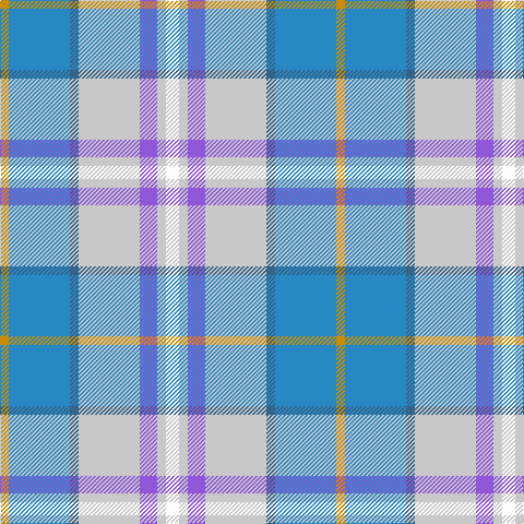 DY/8 Ba56 B8 N56 P16 N8 W/12 tartan Tartan detail