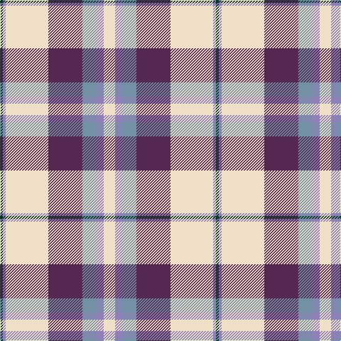 DG/4 Ba4 W60 N48 B20 Ba10 W/16 tartan Tartan detail