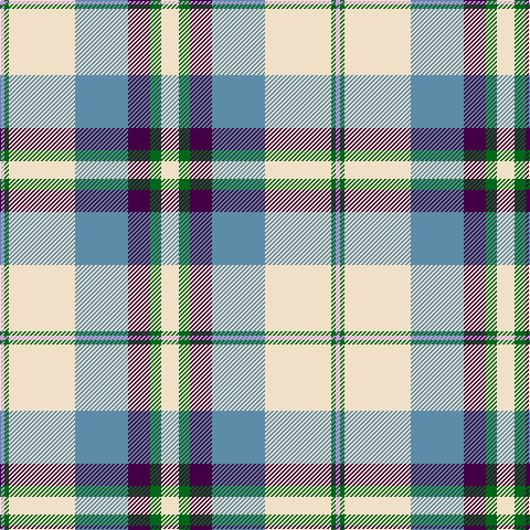 LP/4 G4 W60 B48 DP20 G10 W/16 tartan Tartan detail