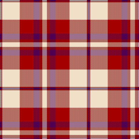 DB/4 DRa4 W60 DR48 DP20 DRa10 W/16 tartan Tartan detail