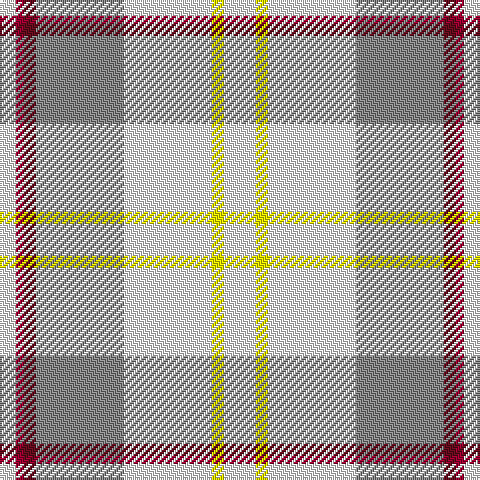 W/8 DR4 DRa6 N44 W44 Y6 W/16 tartan Tartan detail