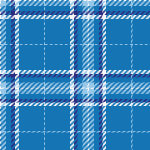 W/4 LB16 B16 DB12 W12 B80 LB/4 tartan Tartan detail