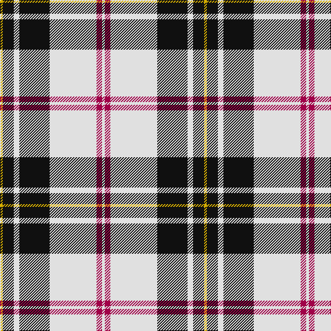 Y/4 K16 LN8 K44 LN68 R8 LN/4 tartan Tartan detail