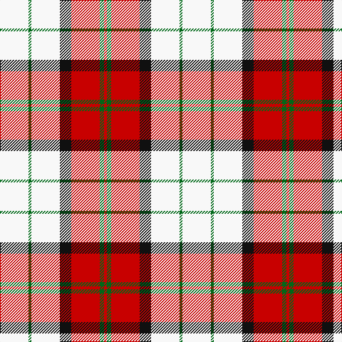 W/40 G4 W40 K16 R40 G6 R/4 tartan Tartan detail
