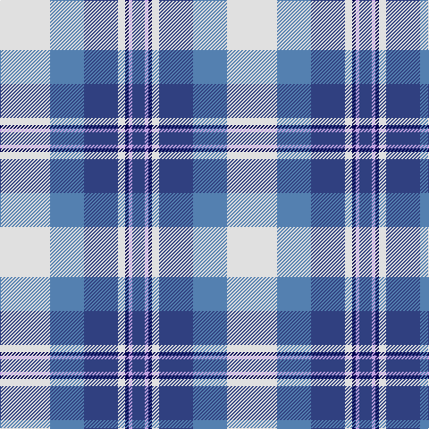 B/14 LP4 DB4 LN8 B38 Ba38 LN/56 tartan Tartan detail