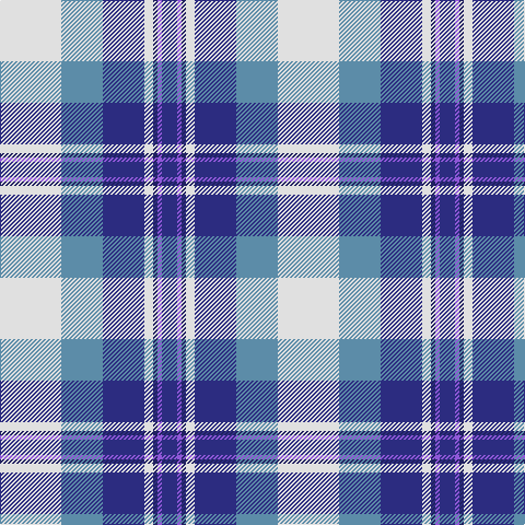 DB/14 P4 DBa4 LN8 DB38 B38 LN/56 tartan Tartan detail
