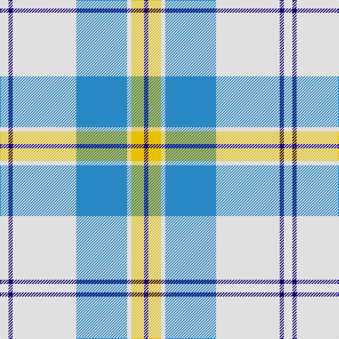 DB/6 Y18 LN6 B72 LN90 DB6 LN/12 tartan Tartan detail