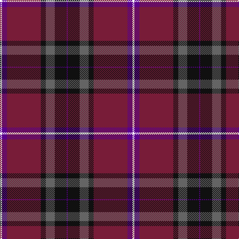 W/4 P10 DR68 K10 N18 K24 P/2 tartan Tartan detail