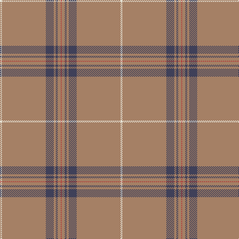 W/4 LT88 N16 LT4 N4 LT6 R/2 tartan Tartan detail