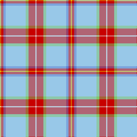 Y/4 R8 B8 LB70 LG10 R24 LN/4 tartan Tartan detail