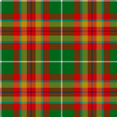 LN/6 G48 R26 B8 DY22 R16 DB/4 tartan Tartan detail
