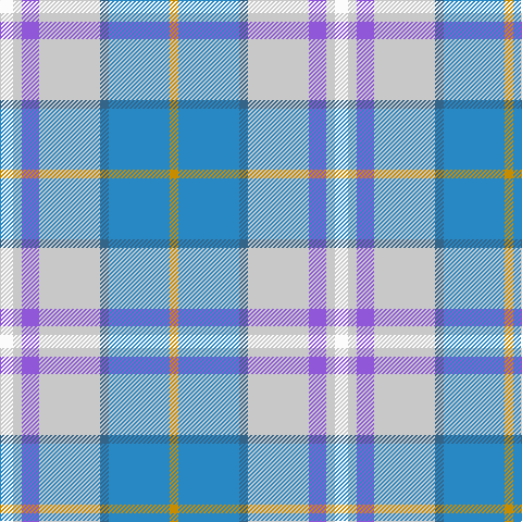 W/12 N8 P16 N56 B8 Ba56 DY/8 tartan Tartan detail