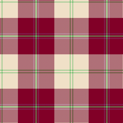 W/6 LG4 W60 DR60 P4 DR4 LG/6 tartan Tartan detail