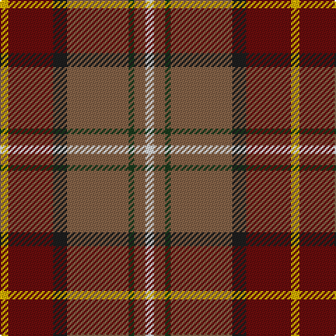 Y/6 DR32 K10 LT44 DG4 LT8 LN/6 tartan Tartan detail