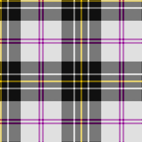 Y/6 K18 LN6 K40 LN60 P6 LN/6 tartan Tartan detail