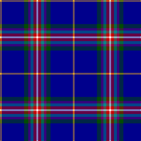 Y/6 DB76 G14 P8 B10 R10 W/6 tartan Tartan detail