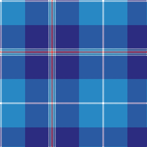 W/6 B76 DB76 W2 Ba6 W2 R/4 tartan Tartan detail