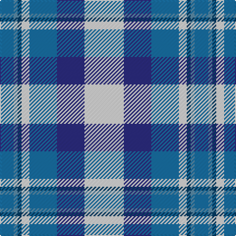 Ba/14 B4 DB4 LN8 Ba28 DBa28 LN/40 tartan Tartan detail