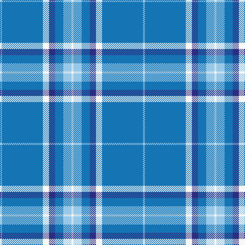 LB/4 B80 W12 DB12 B16 LB16 W/4 tartan Tartan detail
