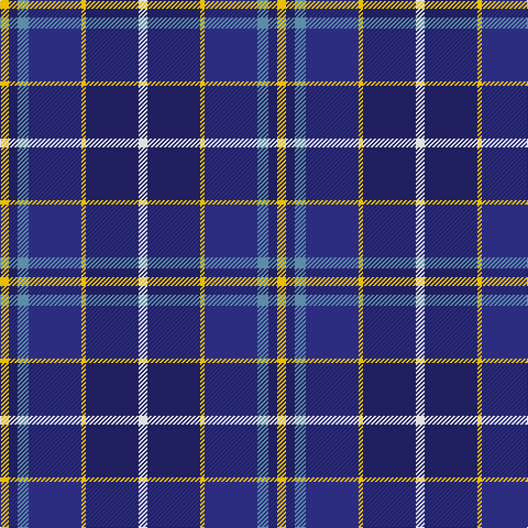 Y/8 DBa8 B10 DB48 Y4 DBa48 LN/8 tartan Tartan detail