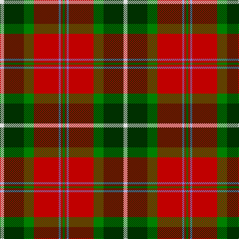 LN/8 DG40 G20 R50 B4 R4 G/4 tartan Tartan detail
