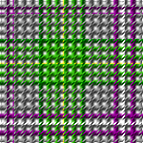 LN/4 N4 P8 N28 Ga4 G20 Y/4 tartan Tartan detail