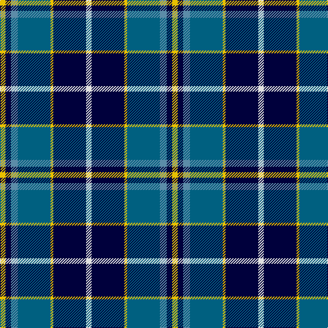 Y/8 DB8 B10 Ba48 Y4 DB48 LN/8 tartan Tartan detail