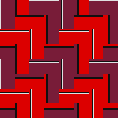 LN/4 K2 DR56 K6 R56 K2 LN/4 tartan Tartan detail