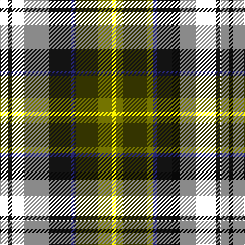 W/8 K4 W36 K22 DB4 T36 Y/4 tartan Tartan detail