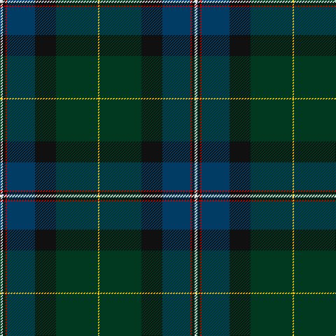 LN/4 K4 R2 DB40 K30 DG60 Y/2 tartan Tartan detail