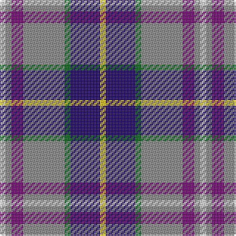 LN/4 N4 P8 N28 G4 DB20 Y/4 tartan Tartan detail