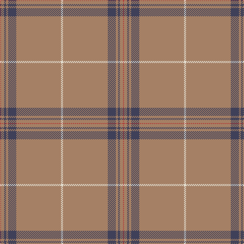 R/2 LT6 N4 LT4 N16 LT88 W/4 tartan Tartan detail
