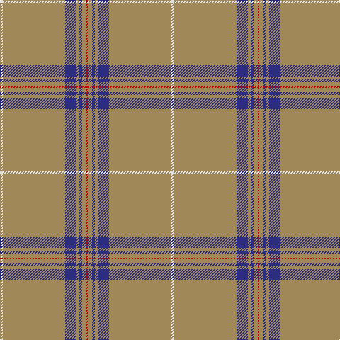LN/4 LT88 DB16 LT4 DB4 LT6 R/2 tartan Tartan detail