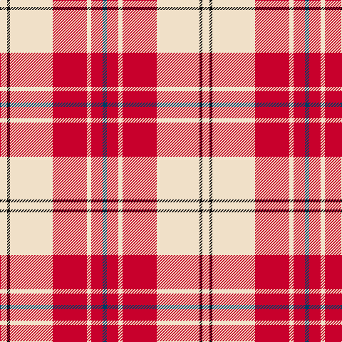 W/10 K4 W60 R48 W6 R16 DB/6 tartan Tartan detail