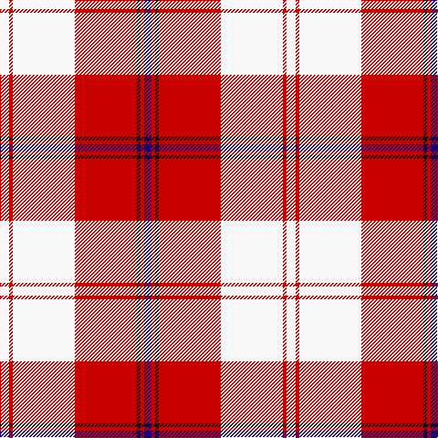 W/10 R4 W68 R68 K4 R4 DB/8 tartan Tartan detail