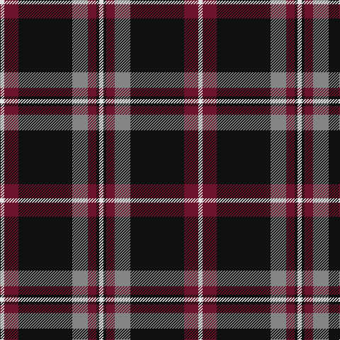 LN/6 DR20 K76 N22 DR12 K4 LN/6 tartan Tartan detail