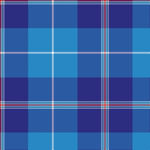 R/4 W2 B6 W2 DB76 Ba76 W/6 tartan Tartan detail