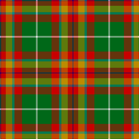 DB/4 R16 DY22 B8 R26 G48 LN/6 tartan Tartan detail