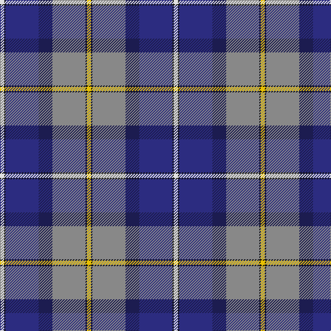 LN/6 K2 DBa48 DB20 N48 K2 Y/6 tartan Tartan detail