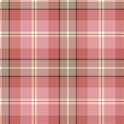 LT/4 LY8 LR44 LT40 DR6 N27 LY/6 tartan Tartan detail