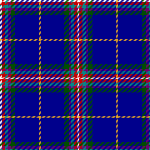 W/6 R10 B10 P8 G14 DB76 Y/6 tartan Tartan detail