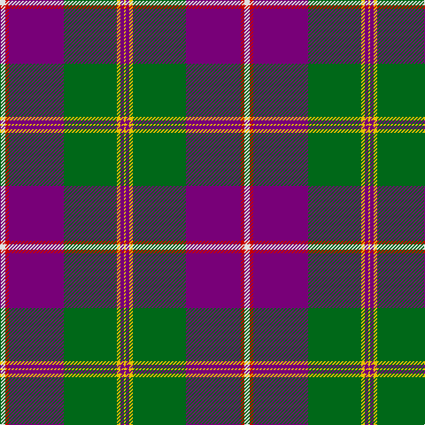 LN/6 R4 P62 G60 Y4 P4 Y/2 tartan Tartan detail