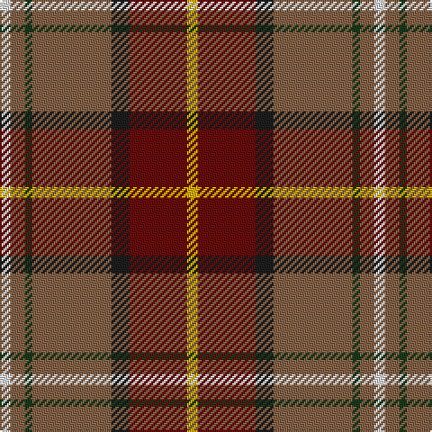 LN/6 LT8 DG4 LT44 K10 DR32 Y/6 tartan Tartan detail