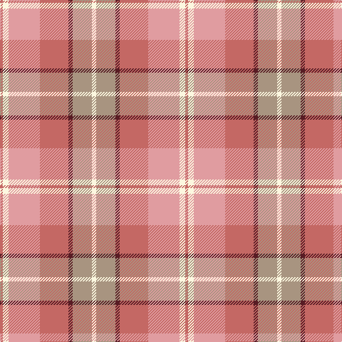 LT/4 LY8 LR44 LT40 DR6 N27 LY/6 tartan Tartan detail