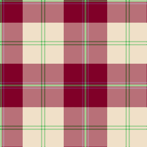 LG/6 DR4 P4 DR60 W60 LG4 W/6 tartan Tartan detail