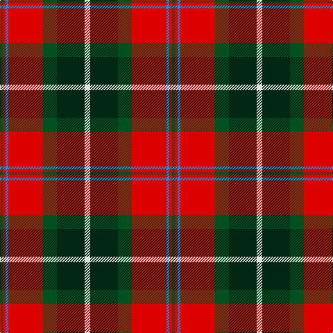 G/4 R4 B4 R50 G20 DG40 LN/8 tartan Tartan detail